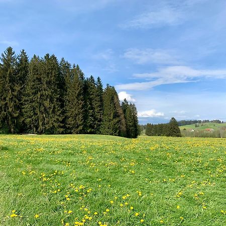 Lindners Hideaways - Bergnest Lodge - Bergblick Fewo 6 Pers Balkon Garten Hund Ski Unterkunft Luftkurort Oberreute Naehe Buchenegger Wasserfaelle Eistobel Bodensee المظهر الخارجي الصورة