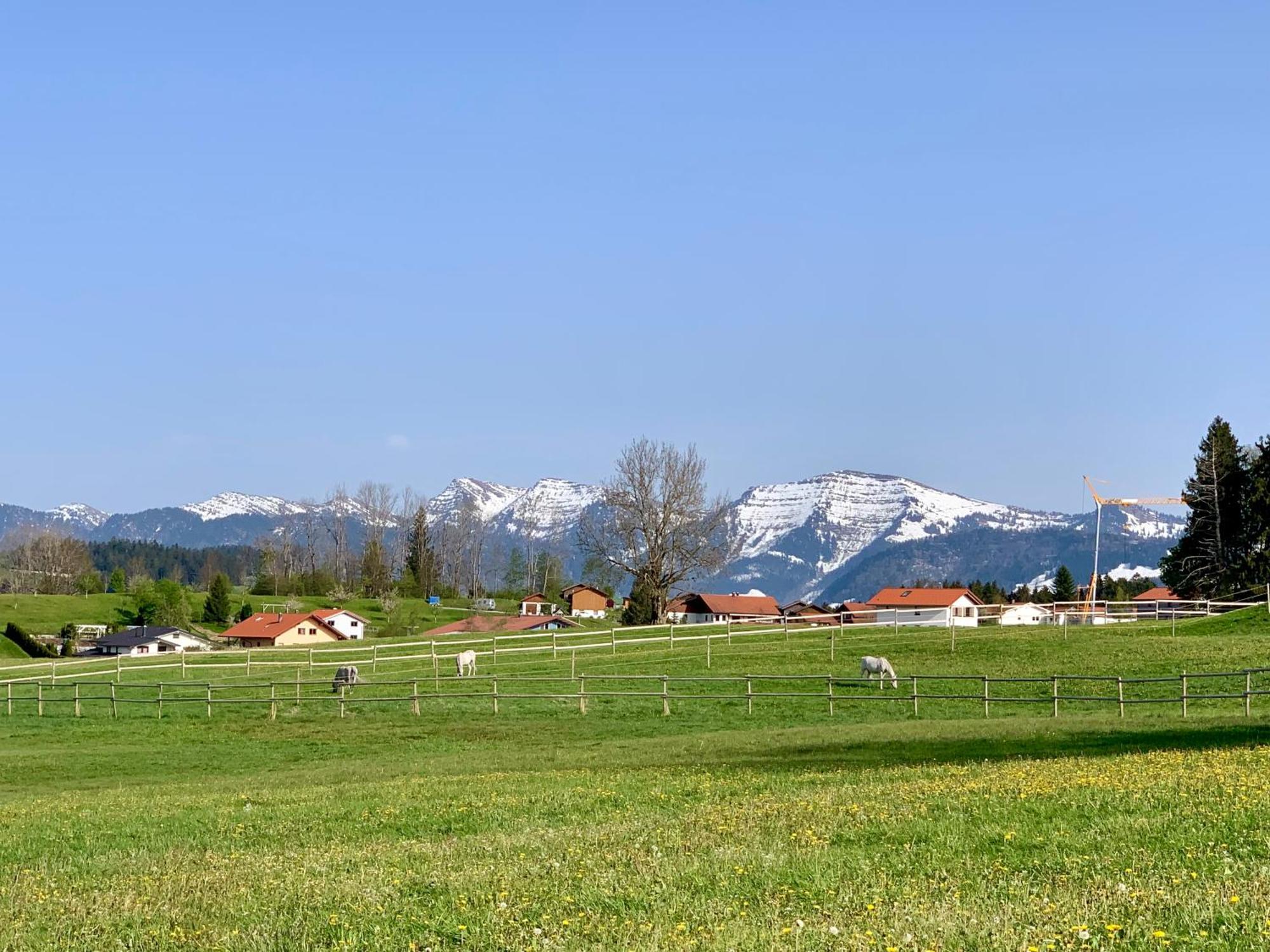 Lindners Hideaways - Bergnest Lodge - Bergblick Fewo 6 Pers Balkon Garten Hund Ski Unterkunft Luftkurort Oberreute Naehe Buchenegger Wasserfaelle Eistobel Bodensee المظهر الخارجي الصورة