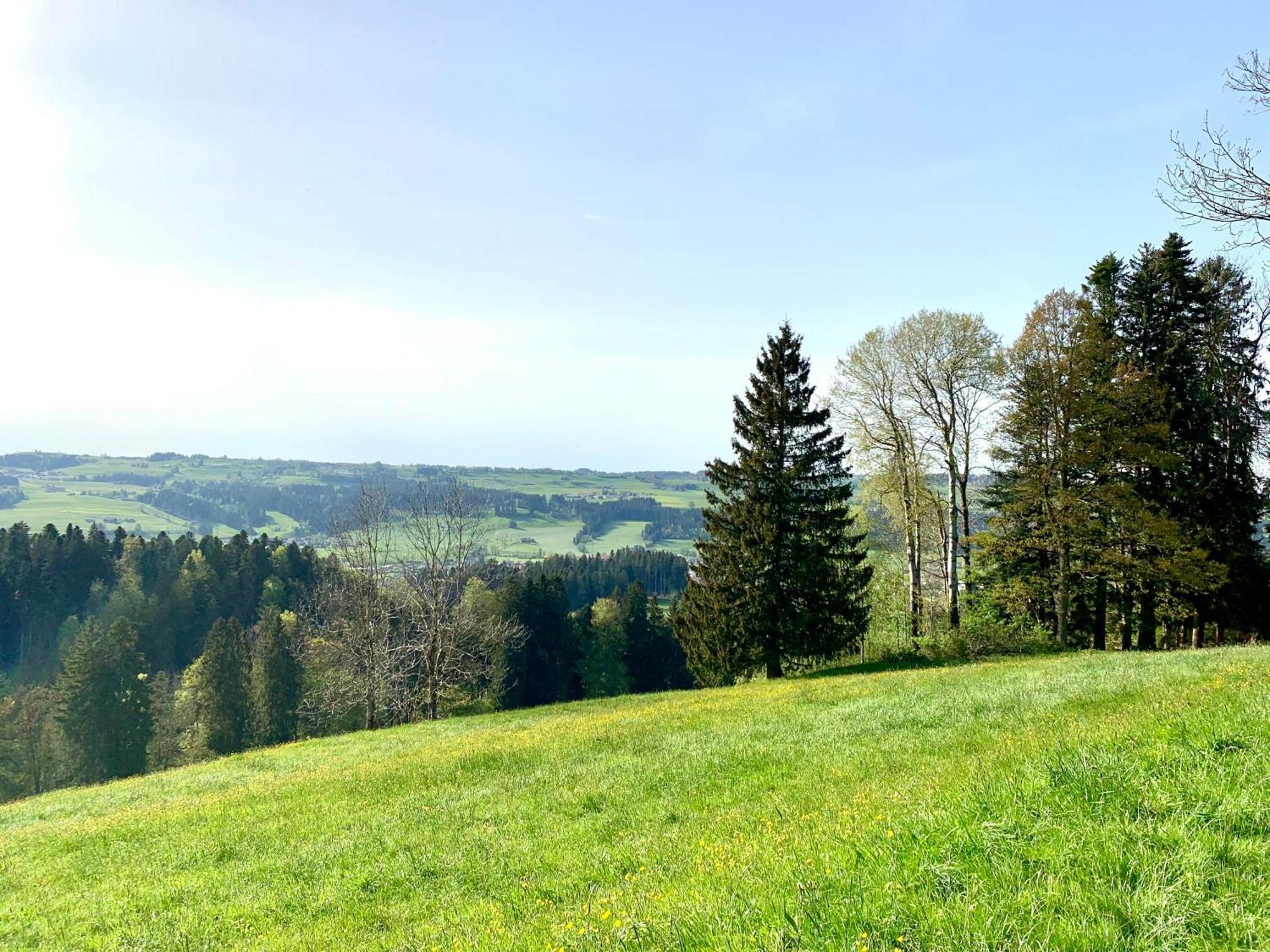 Lindners Hideaways - Bergnest Lodge - Bergblick Fewo 6 Pers Balkon Garten Hund Ski Unterkunft Luftkurort Oberreute Naehe Buchenegger Wasserfaelle Eistobel Bodensee المظهر الخارجي الصورة
